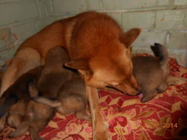 DSCN6280.JPG