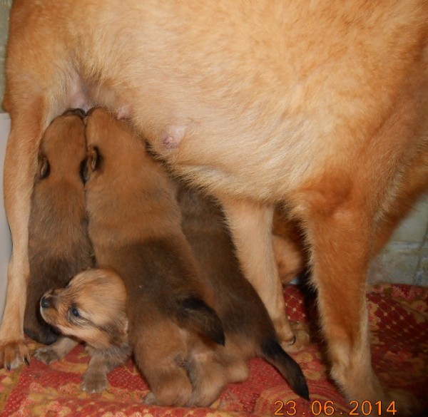 DSCN6378.JPG