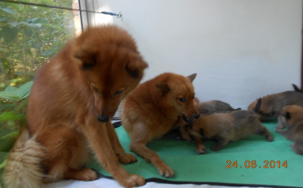 DSCN6485.JPG