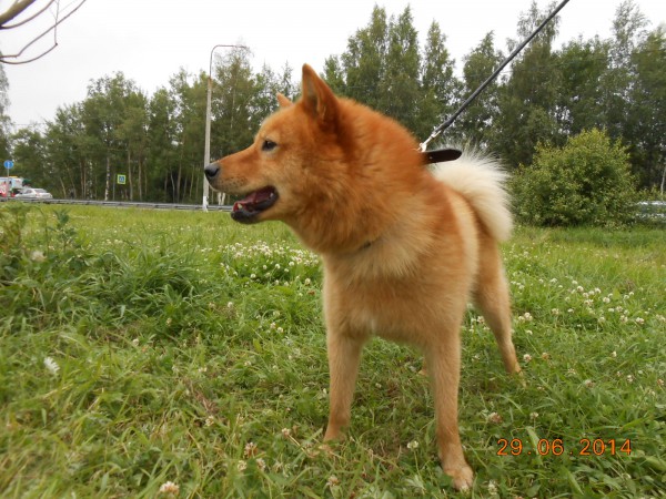 DSCN6777.JPG