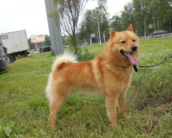 DSCN6747.JPG