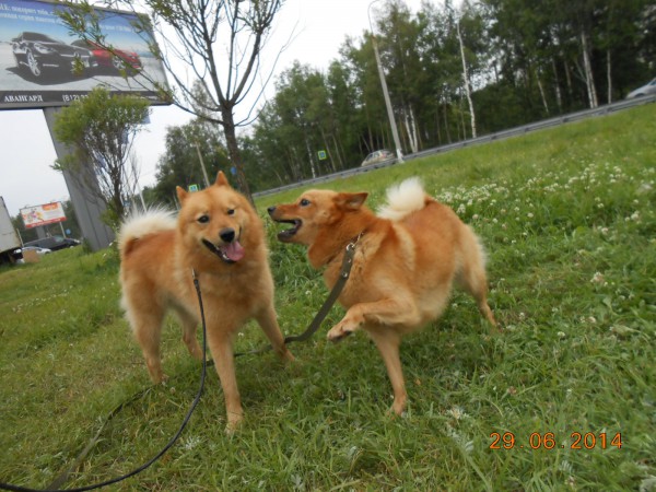DSCN6733.JPG