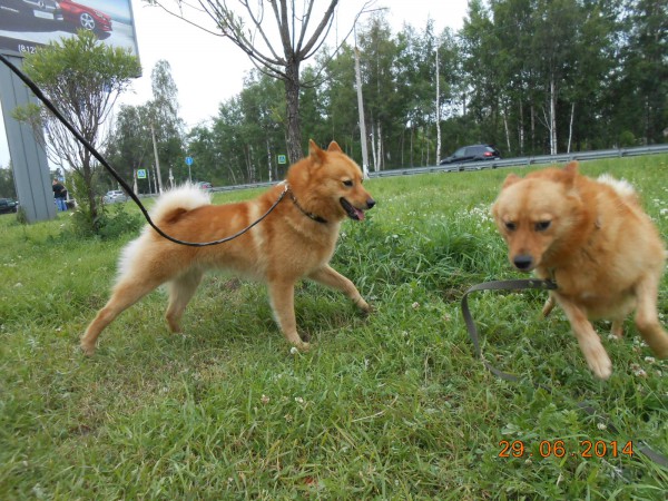 DSCN6736.JPG