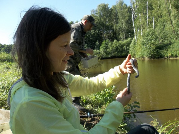 100_3413.JPG