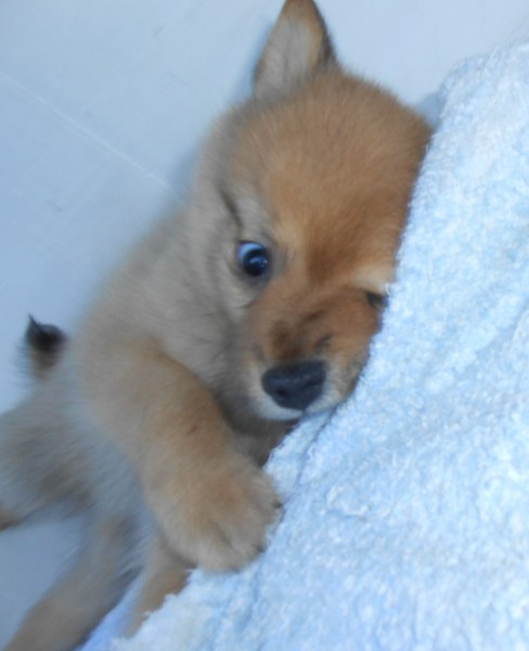 DSCN8165.JPG