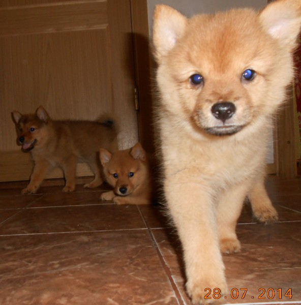 DSCN8515.JPG