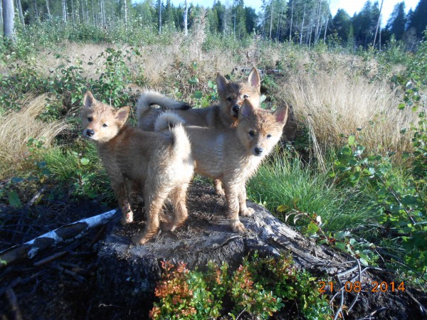 DSCN9427.JPG