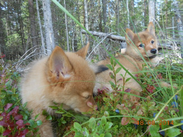 DSCN9199.JPG