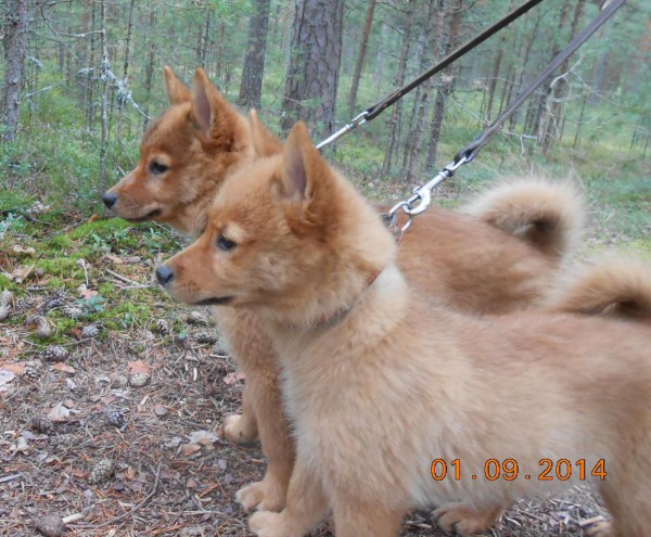 DSCN9737.JPG