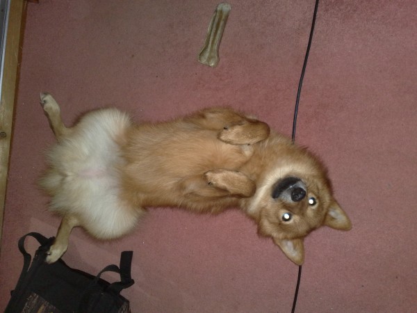 15.02.12 - ФШ Вайда.jpg