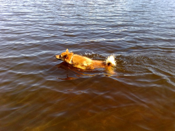 24.05.12 - ФШ Вайда.jpg