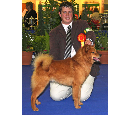 kovu5.jpg