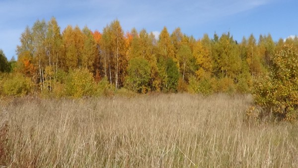 DSC00904.JPG