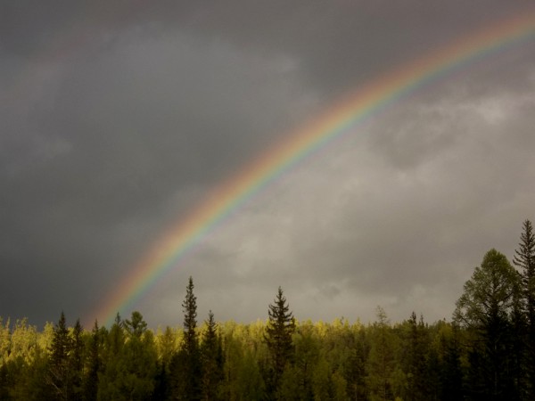 100_2210.JPG