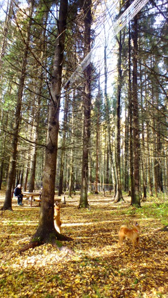 S0905643.JPG