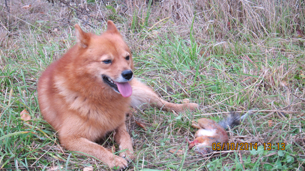 max_05_squir.jpg