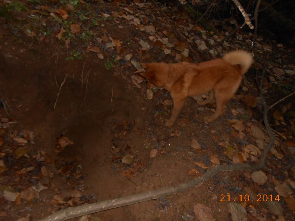 DSCN9715.JPG