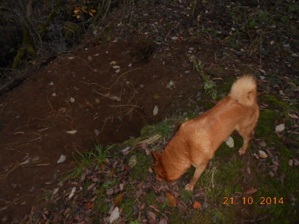 DSCN9725.JPG