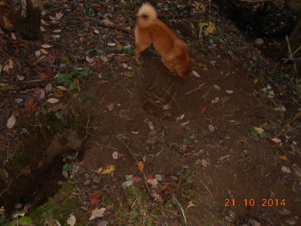 DSCN9724.JPG