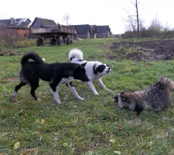100_0890_обрезана.jpg