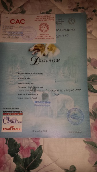 20141214_211456.jpg