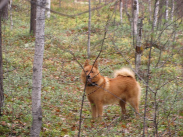 IMG_6589.JPG
