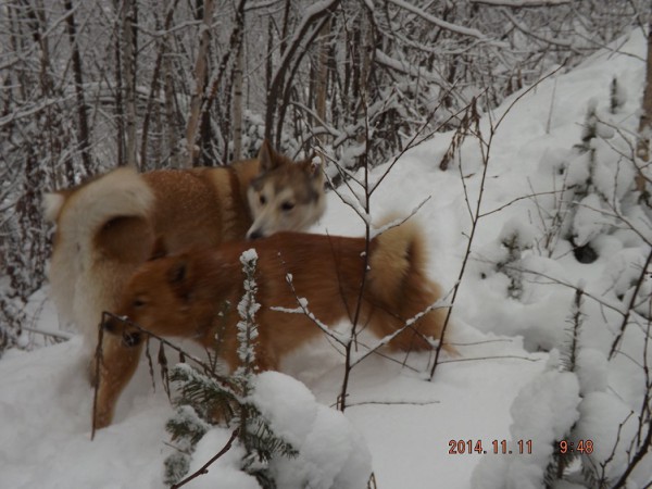 DSCF4193.JPG