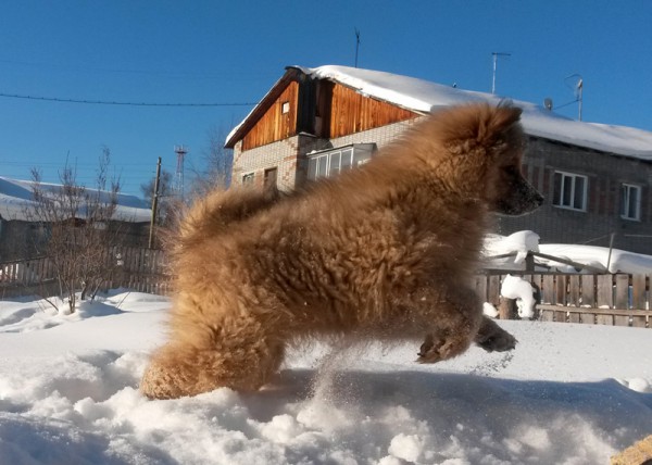 20150206_114107s.jpg