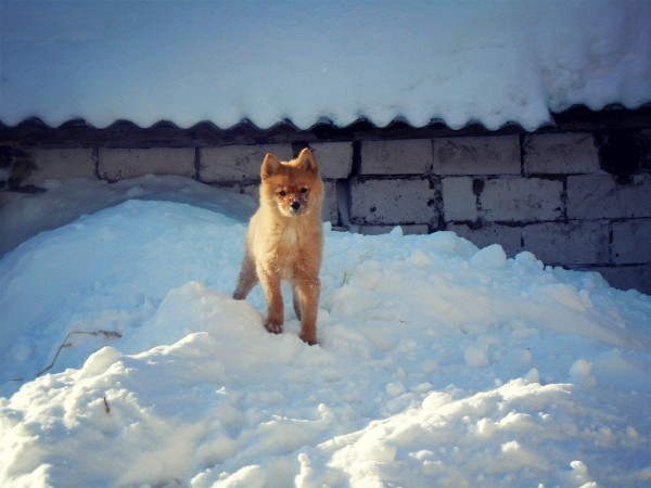 FAU3LGh9Hh4.jpg