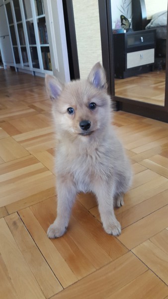 20150317ASY1.jpg