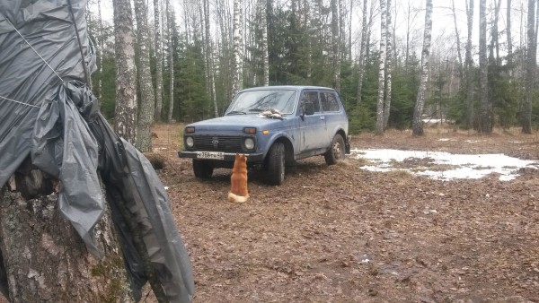 20150404_103820.jpg