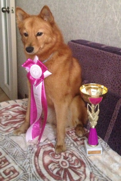 евразия 2015.jpg