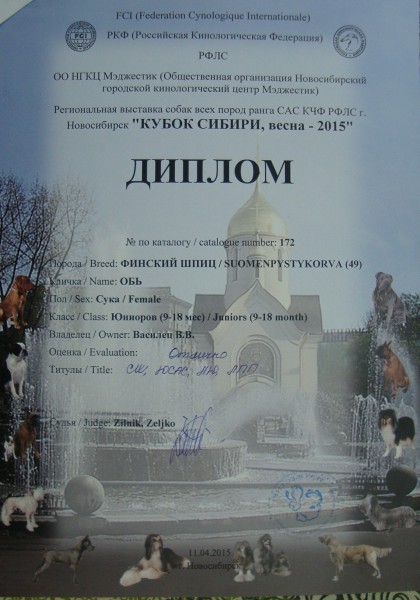 Обь диплом.jpg