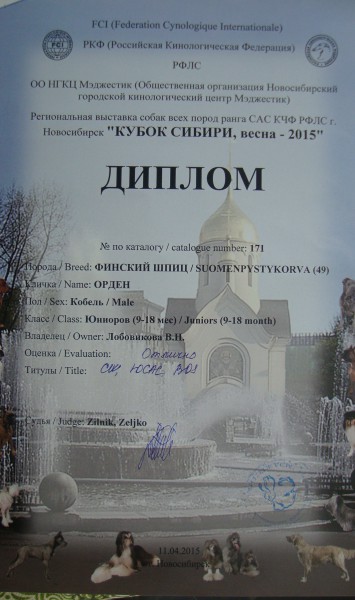 Орден диплом.jpg