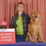 Орден на выставке.JPG