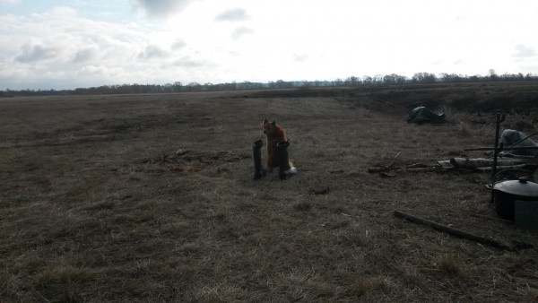 20150420_080705.jpg