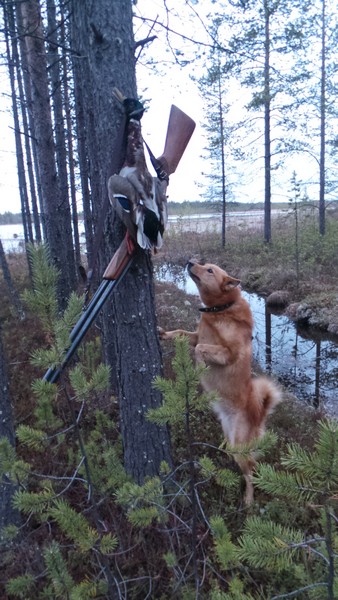 20150516_233540.jpg