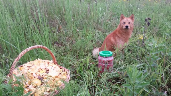 20150628_182910.jpg