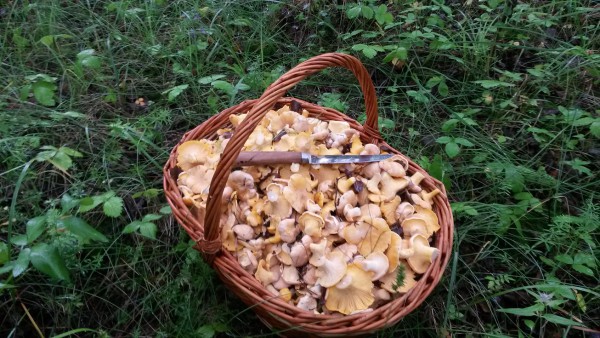 20150628_152303.jpg