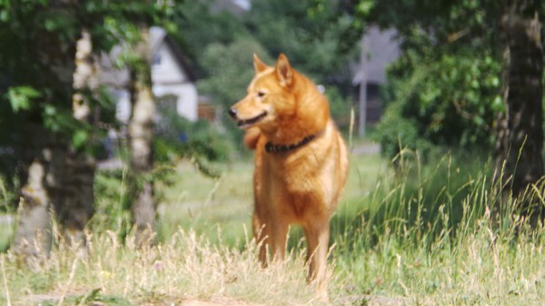 20150623_140744.jpg