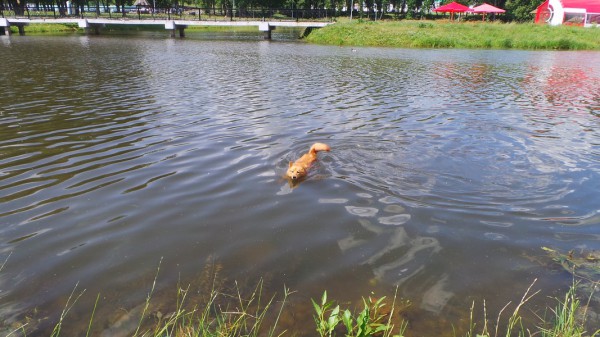 20150623_141915.jpg