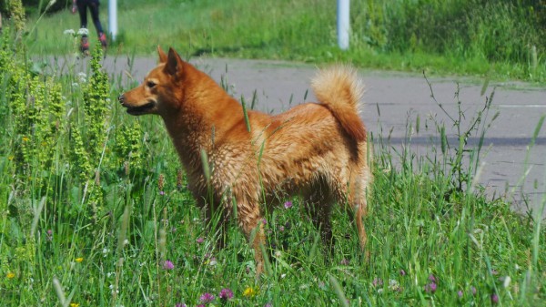 20150623_142016.jpg