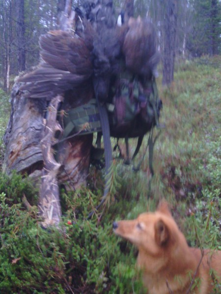 IMG_20151004_135924[1].jpg