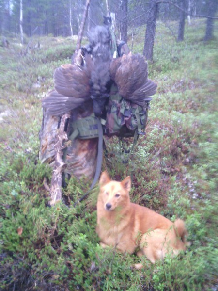 IMG_20151004_140024[1].jpg