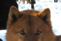 eyes1.jpg