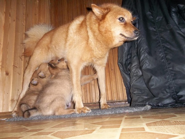 100_4297.JPG