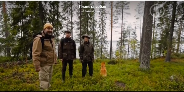 pekka_film13.jpg