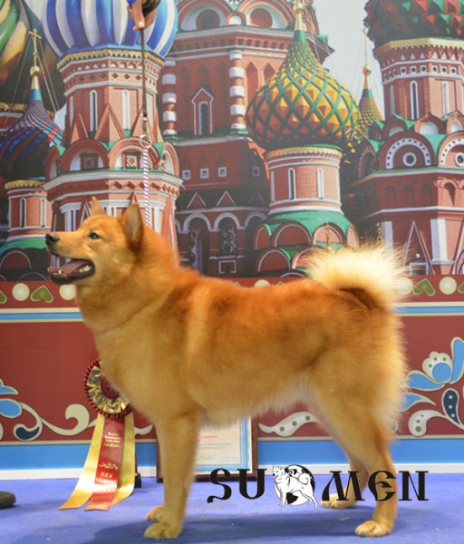 winner_rus15.jpg