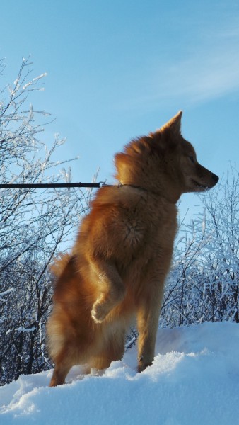 20160228_120125.JPG