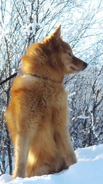 20160228_120151.JPG